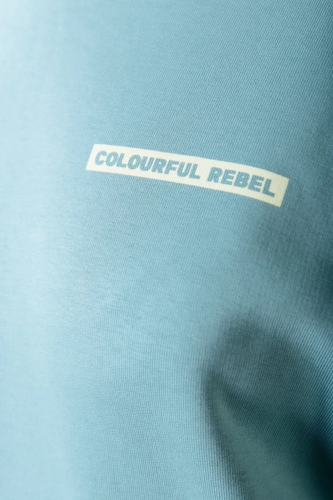 Hoodies<Colourful Rebel Box Logo Hoodie | Mineral blue Mineralblue