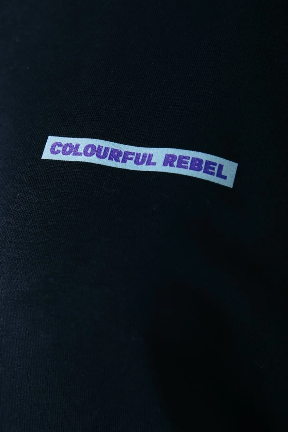 Truien<Colourful Rebel Faded Flower Sweat | Black