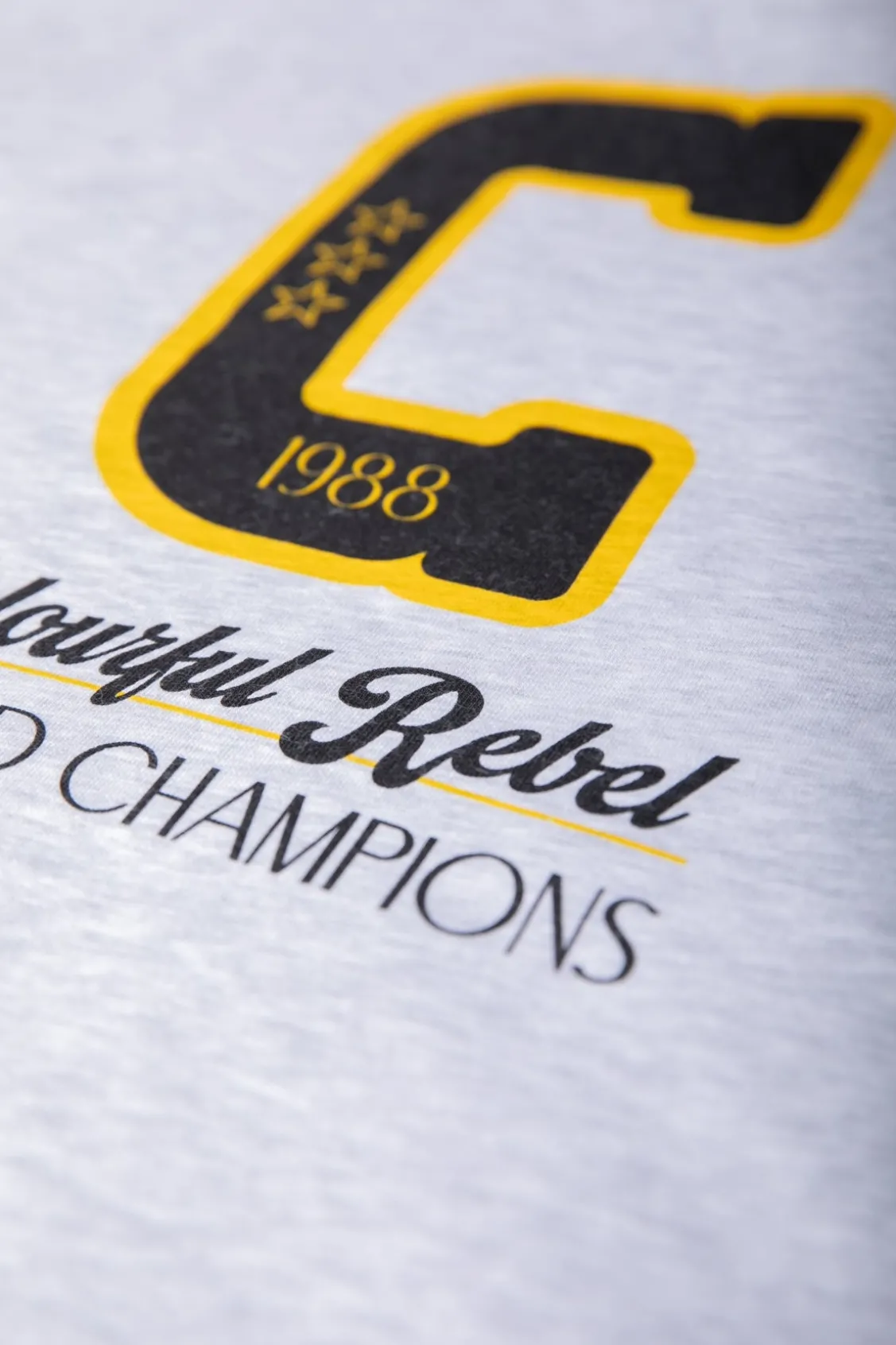 Truien<Colourful Rebel World Champions Sweat | Light grey melange Lightgreymelange