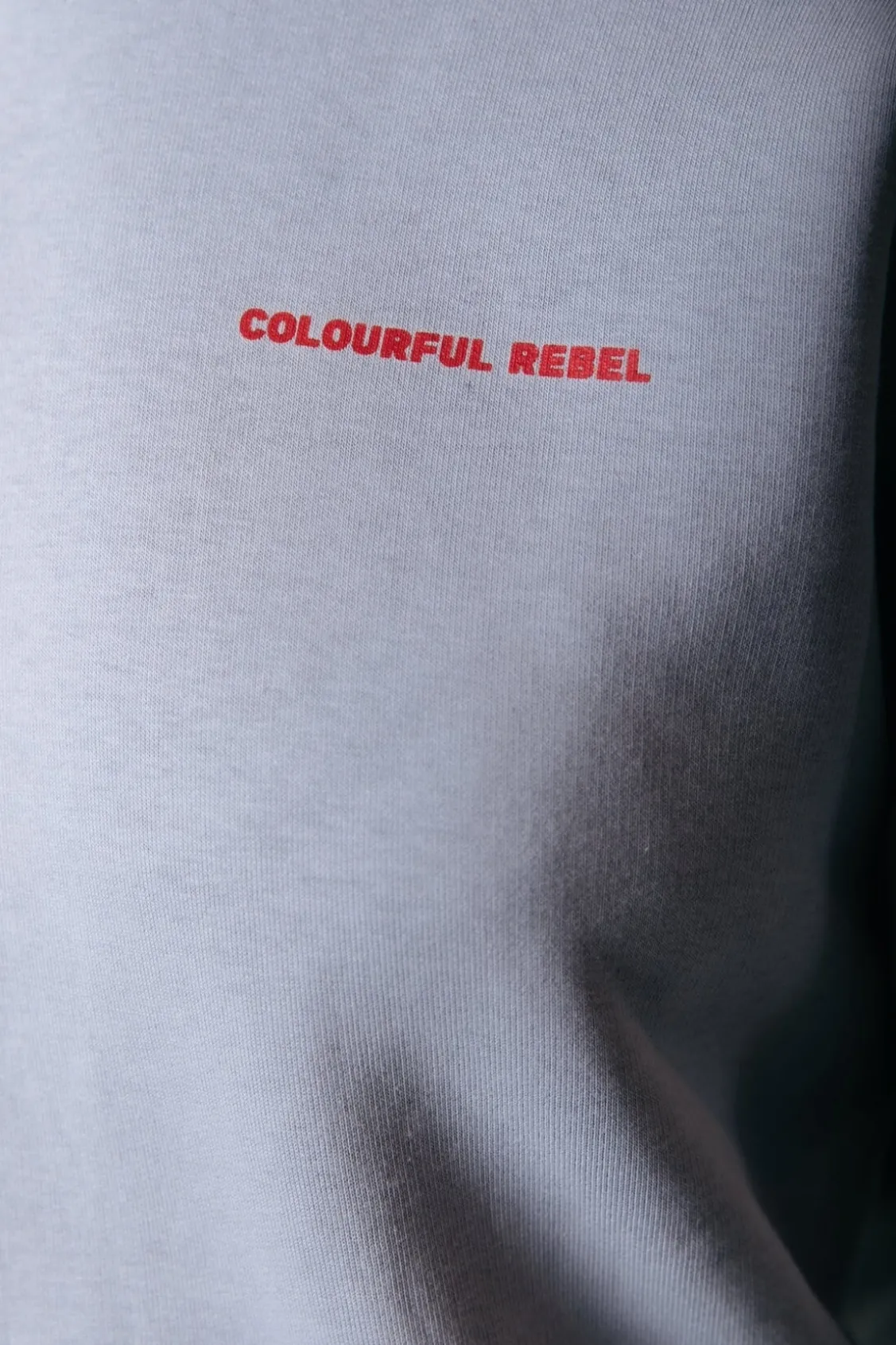 Hoodies<Colourful Rebel World Tour Hoodie | Light grey Lightgrey